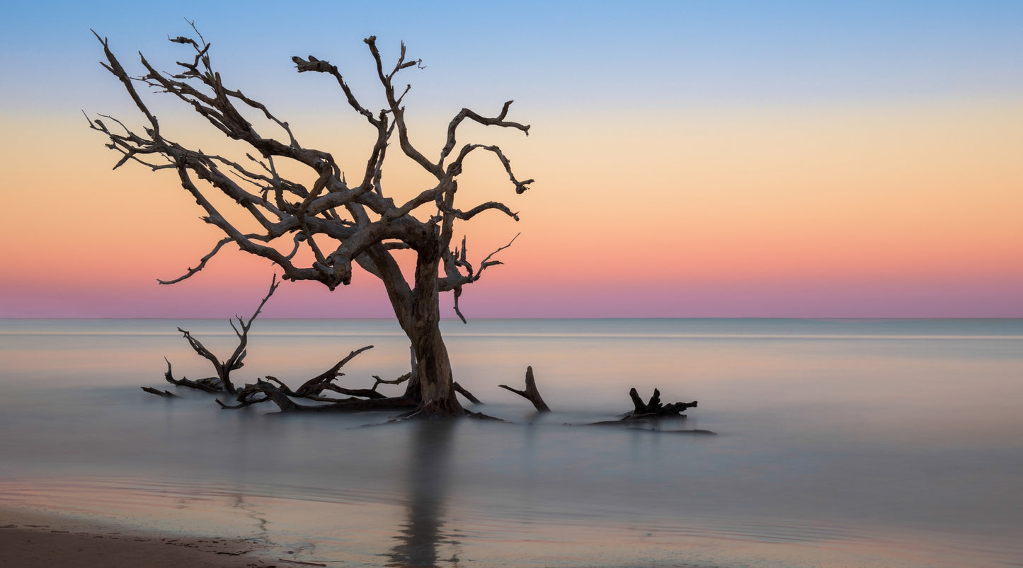 golden isles